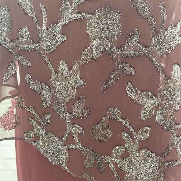 Elegant Burgundy Dress with Sheer Overlay - Picture 2 of 8